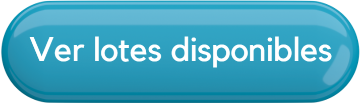 Calculadora de financiamiento